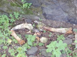 Villa Nova Uhřínov